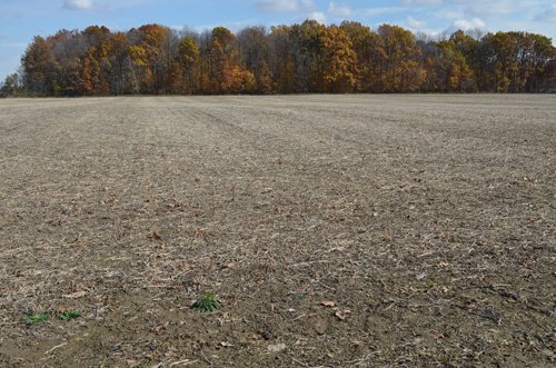 Property photo 41 - 75.3 Acres Offered in 2 Tracts